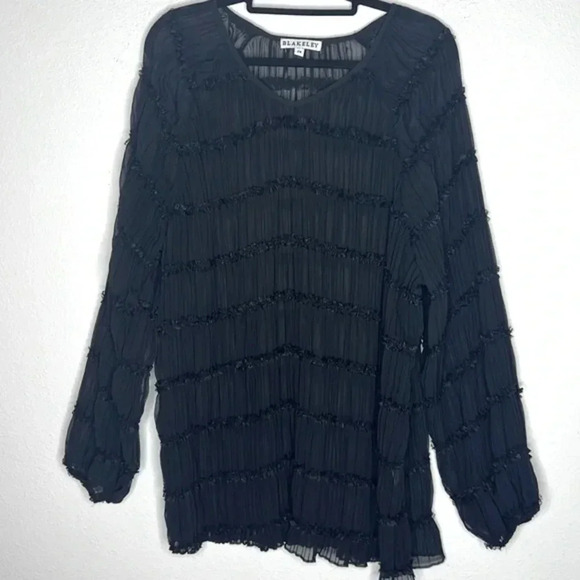 Blakely Amelia ruched sheer black top in plus 2X - Picture 2 of 5